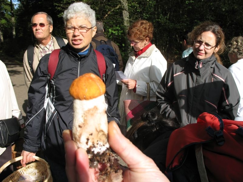 2006 10 Myco Etang d'Or 17